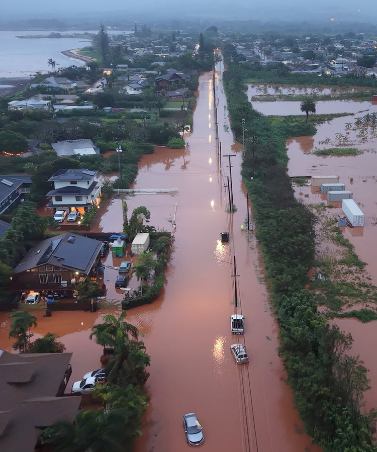 The Hoʻihoʻi Relief Collection: It’s a Kākou Thing